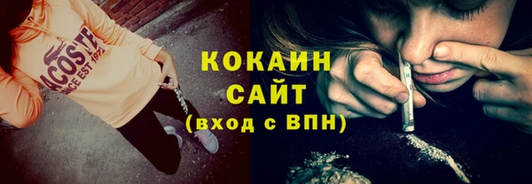 метадон Инта