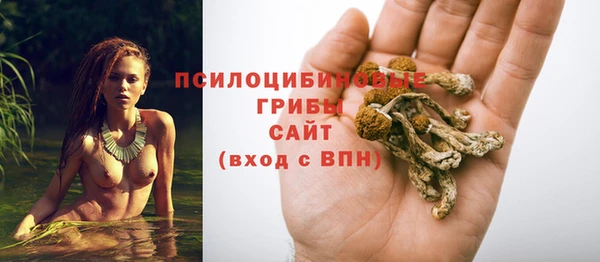 не бодяженный Каменногорск