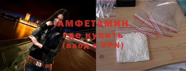 ГАЛЛЮЦИНОГЕННЫЕ ГРИБЫ Каменка