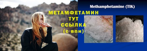 ГАЛЛЮЦИНОГЕННЫЕ ГРИБЫ Каменка