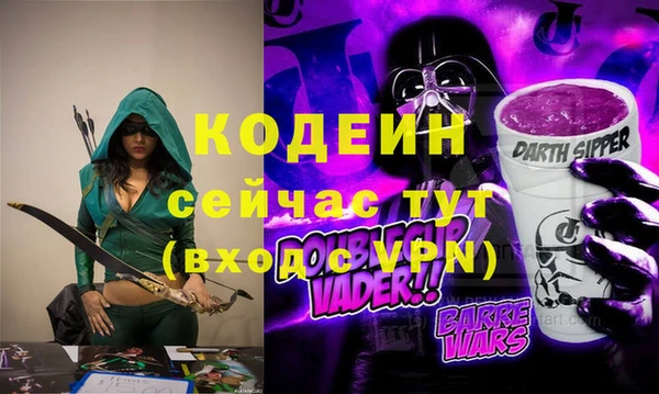 метадон Инта