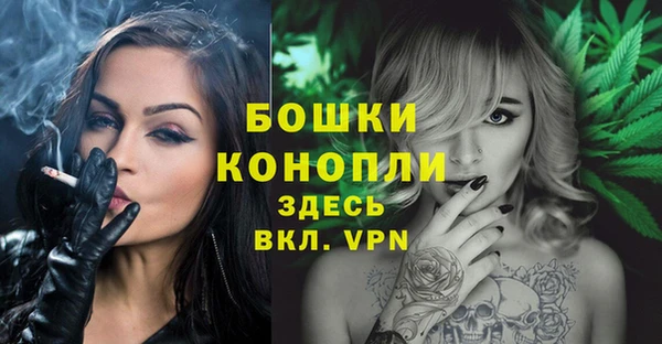 метадон Инта