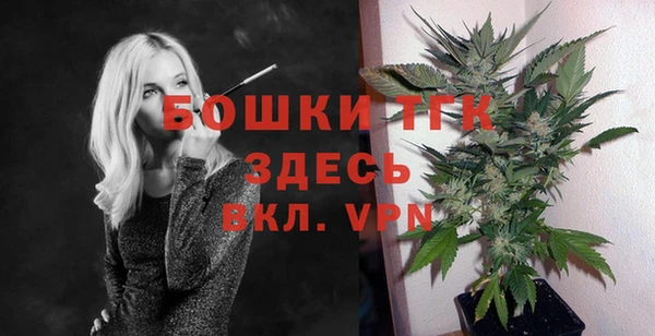 метадон Инта