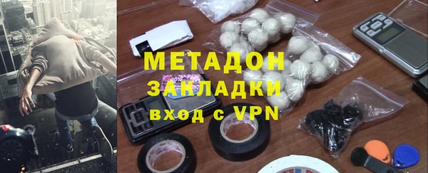 ГАЛЛЮЦИНОГЕННЫЕ ГРИБЫ Каменка