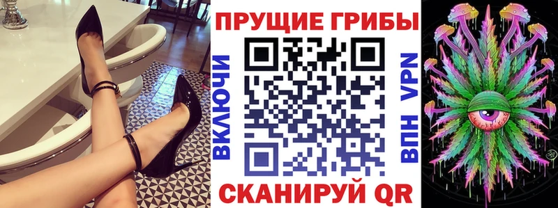 Купить где  Барыш  Псилоцибиновые грибы MAGIC MUSHROOMS 